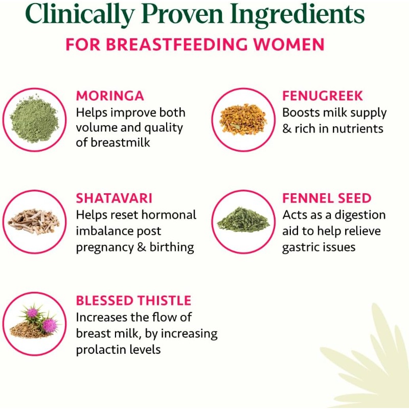 60 Kapseln Ayurvedisches Still – Ayurvedic & Herbal Wellness Kits Bewertung und Preis